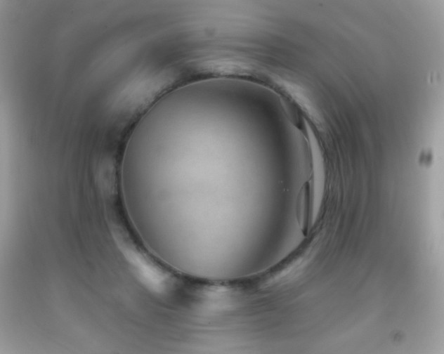 X0000091850453200709051150