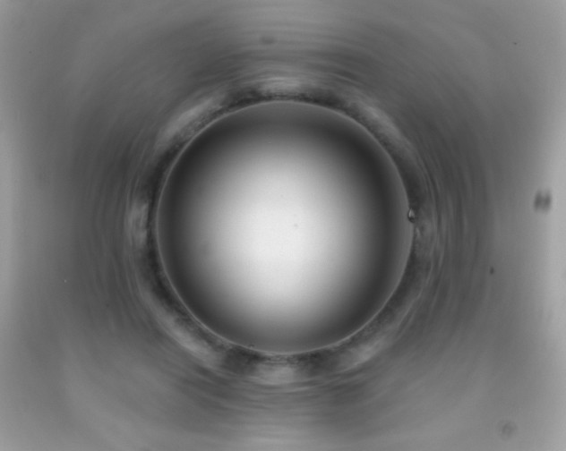 X0000091850454200709051150