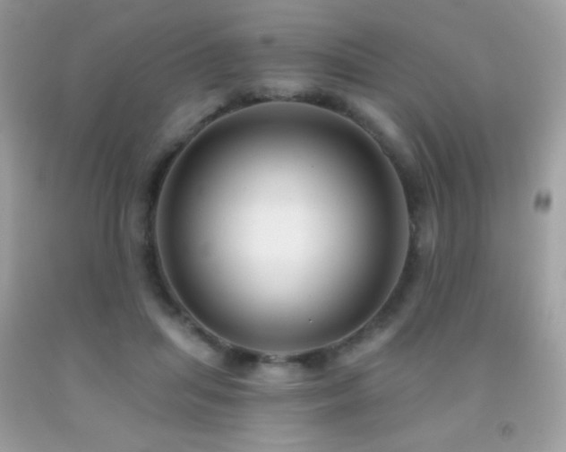 X0000091850455200709051150