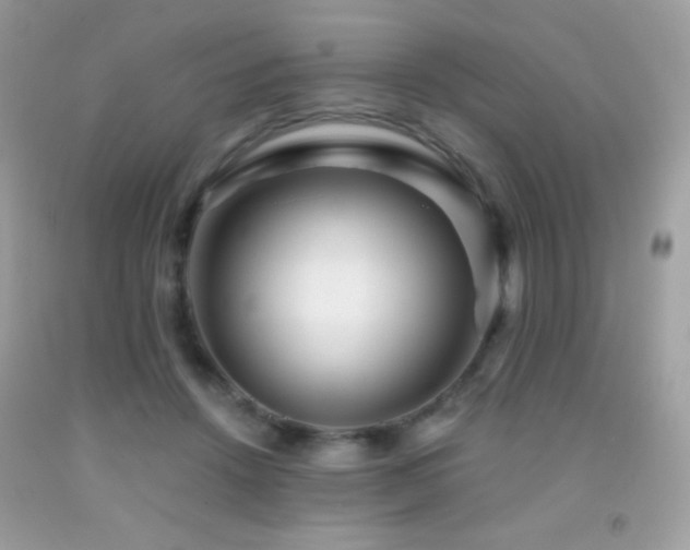 X0000091850456200709051150
