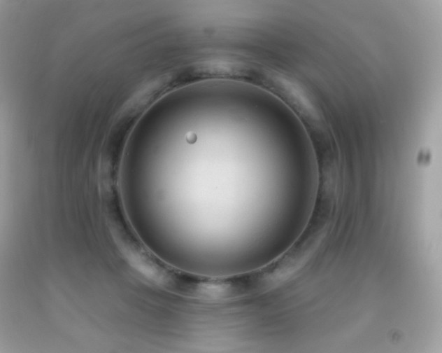 X0000091850457200709051150