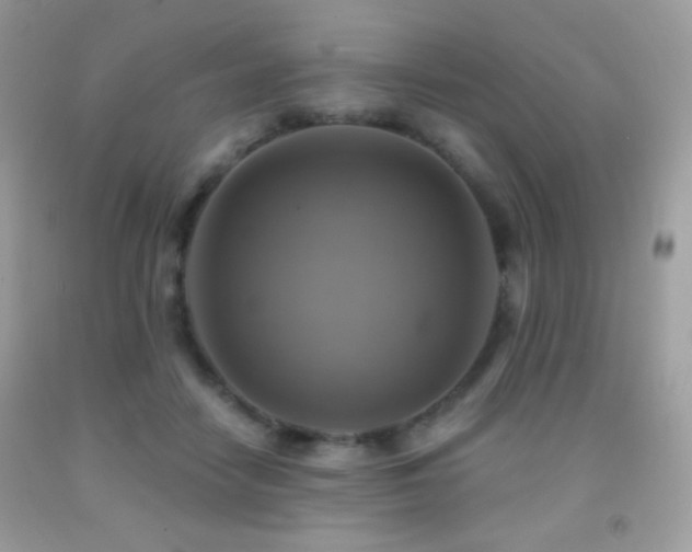 X0000091850458200709051150