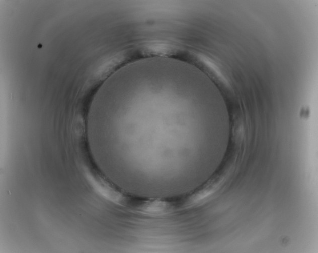X0000091850459200709051150