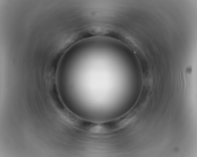 X0000091850460200709051150