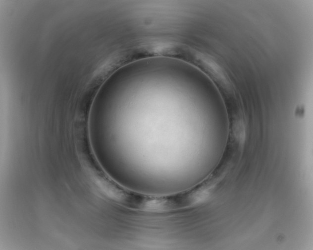 X0000091850461200709051150