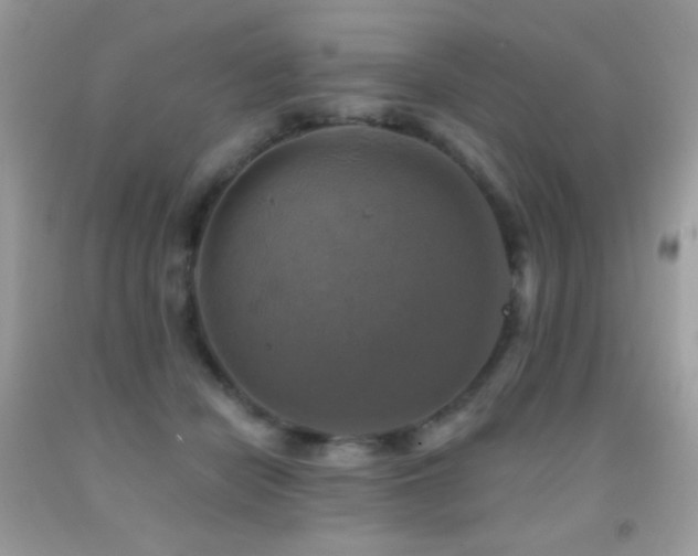 X0000091850462200709051150