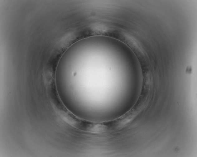 X0000091850463200709051150