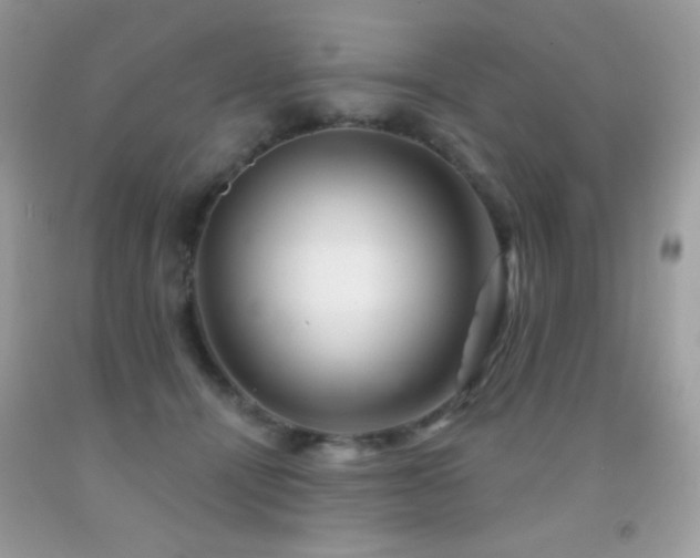 X0000091850464200709051150