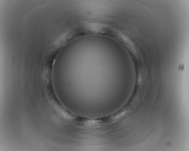 X0000091850465200709051150