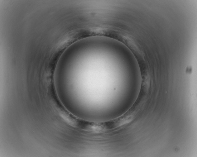 X0000091850466200709051150