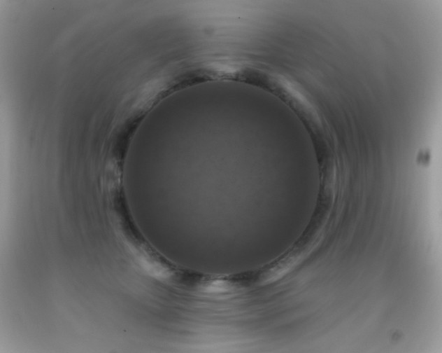 X0000091850467200709051150