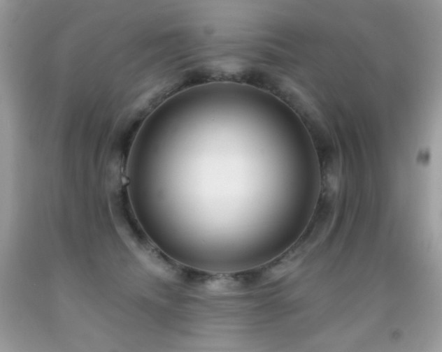 X0000091850468200709051150
