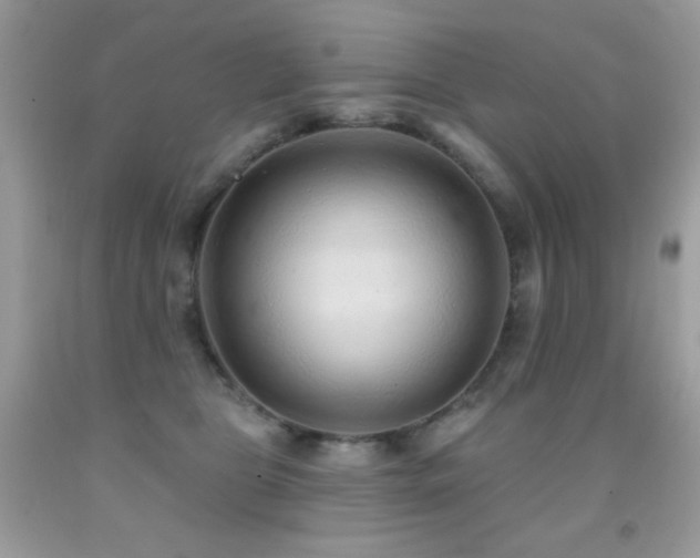 X0000091850469200709051150