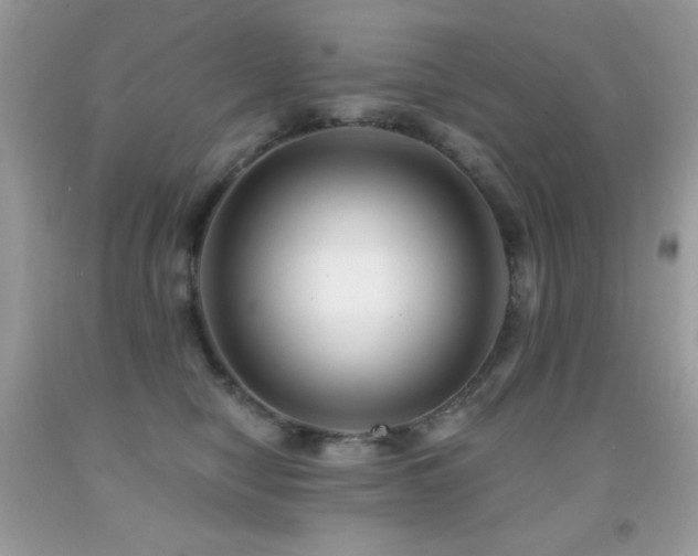 X0000091850470200709051150