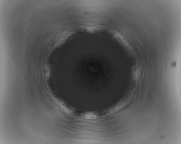 X0000091850471200709051150