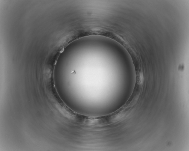 X0000091850472200709051150