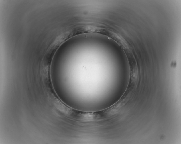 X0000091850473200709051150
