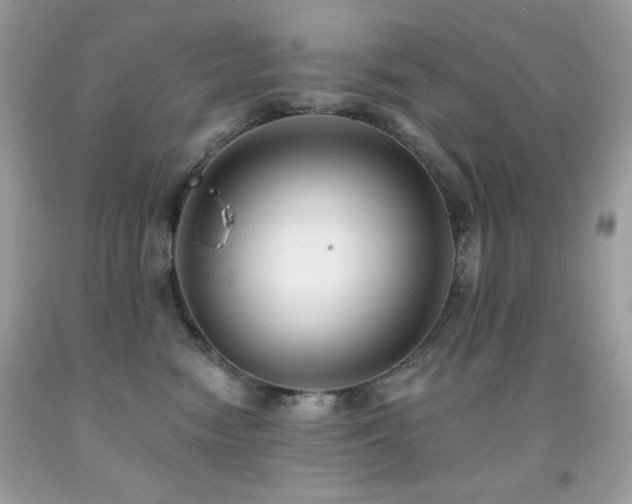X0000091850474200709051150