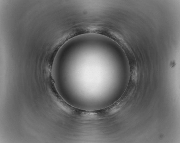 X0000091850476200709051150