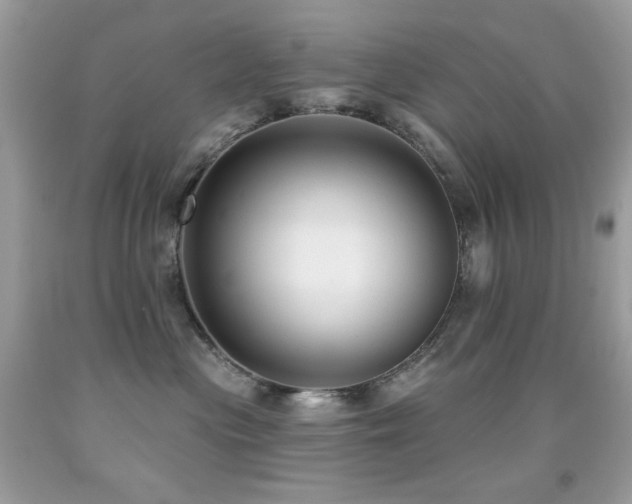 X0000091850477200709051150