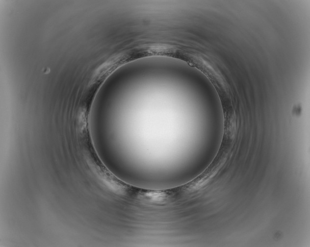 X0000091850478200709051150