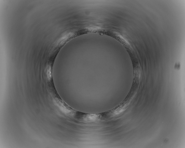 X0000091850479200709051150