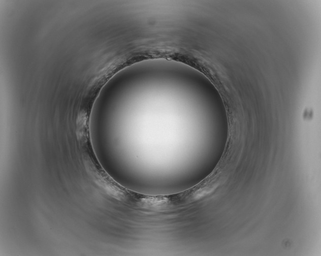 X0000091850480200709051150