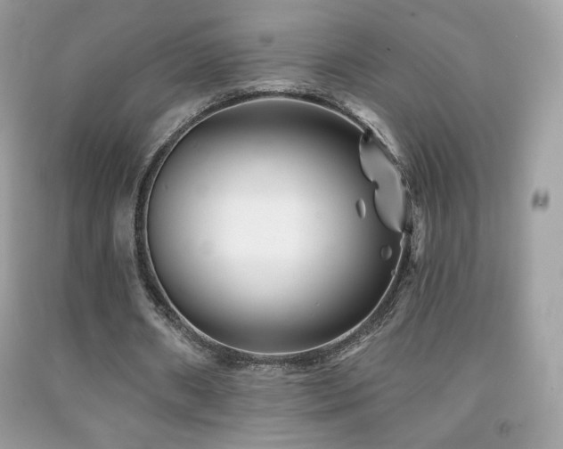 X0000091850482200709051149