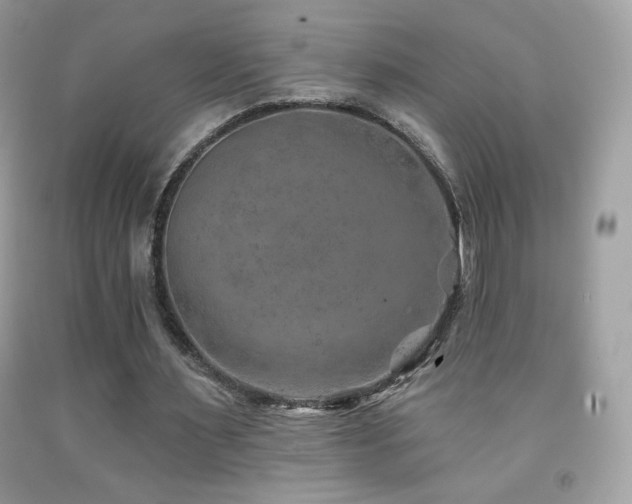 X0000091850483200709051149