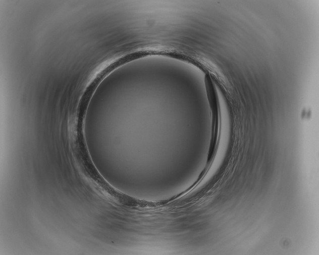 X0000091850484200709051149