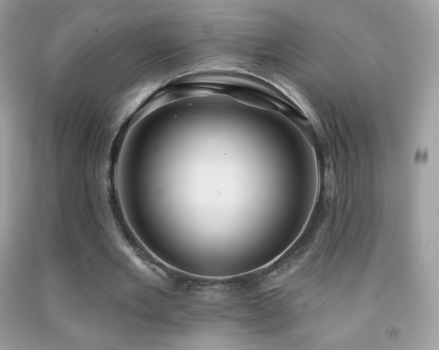 X0000091850485200709051149