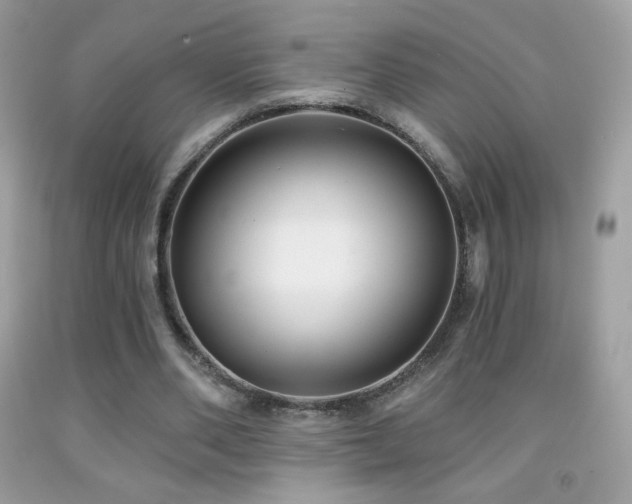 X0000091850486200709051149