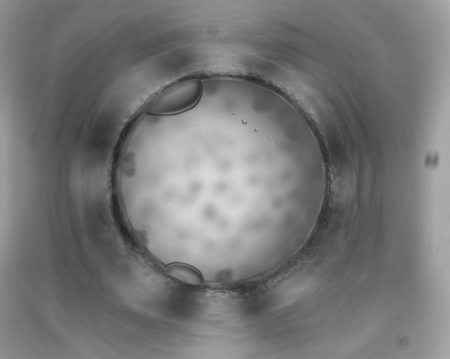X0000091850487200709051149