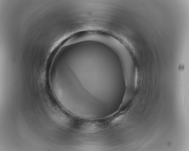 X0000091850488200709051149