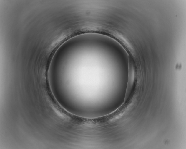 X0000091850489200709051149