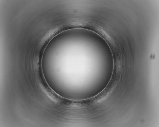 X0000091850490200709051149