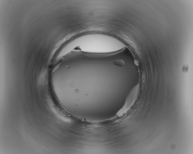 X0000091850492200709051149