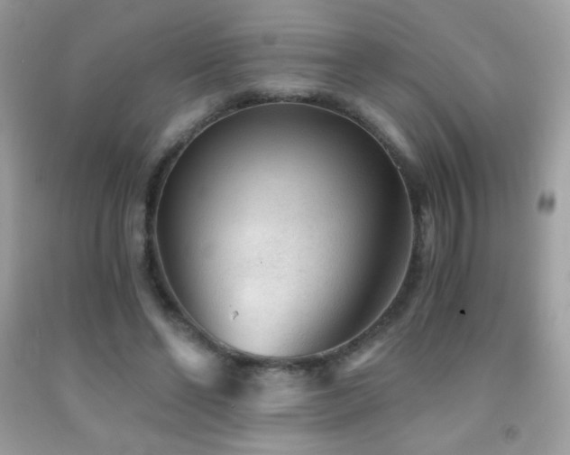 X0000091850494200709051149