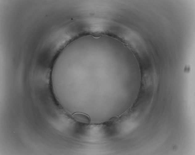 X0000091850495200709051149