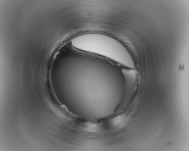 X0000091850496200709051149