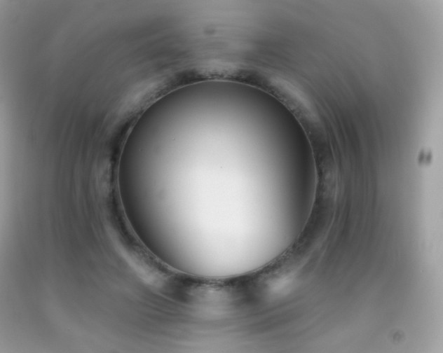 X0000091850498200709051149