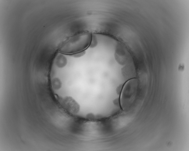 X0000091850499200709051149