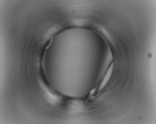 X0000091850500200709051149