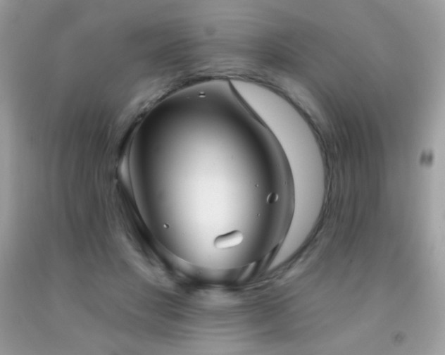 X0000091850501200709051149