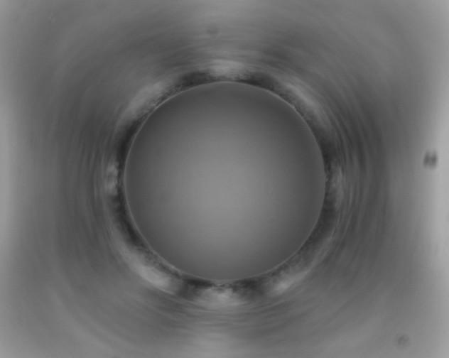 X0000091850502200709051149