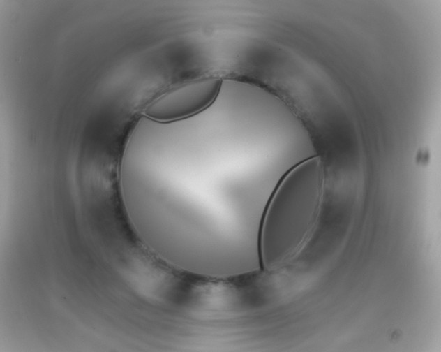 X0000091850503200709051149