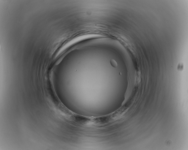 X0000091850504200709051149