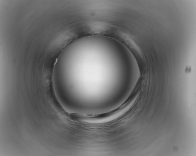 X0000091850505200709051149