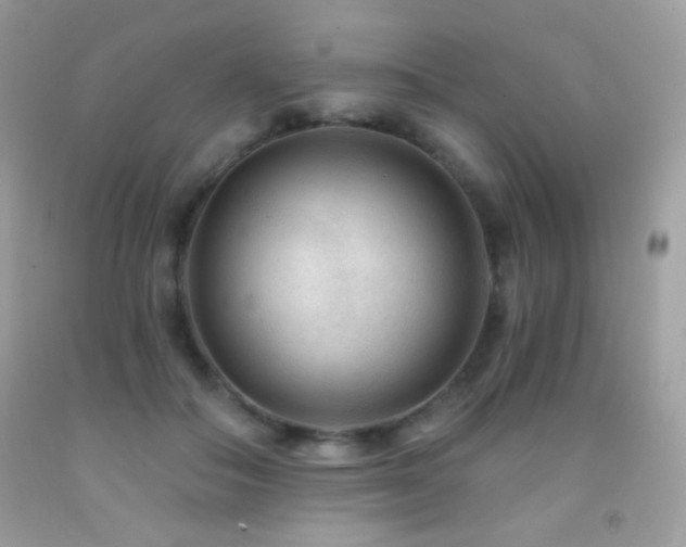 X0000091850506200709051149