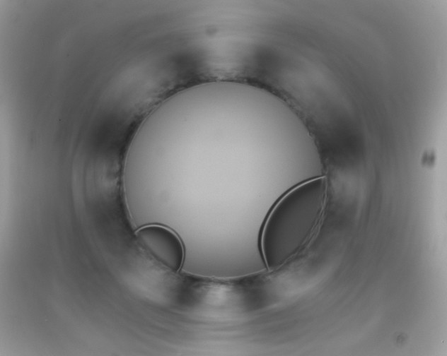 X0000091850507200709051149